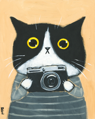 Kitty With a Camera
