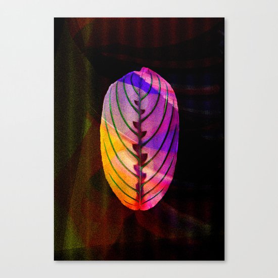 leaf (BLATT) Canvas Print