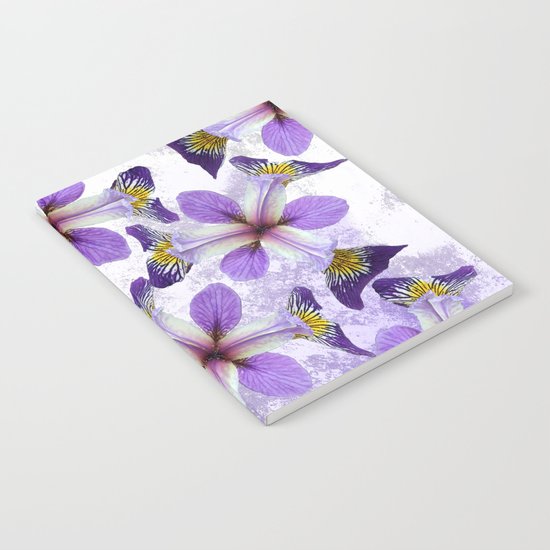 In the eye of the Iris Notebook