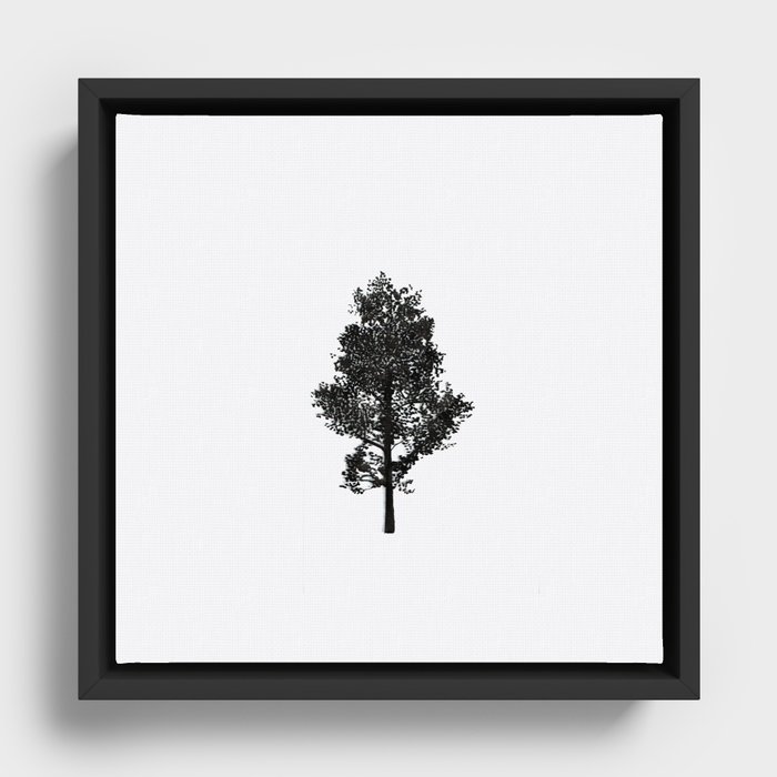Magic Trees Framed Canvas