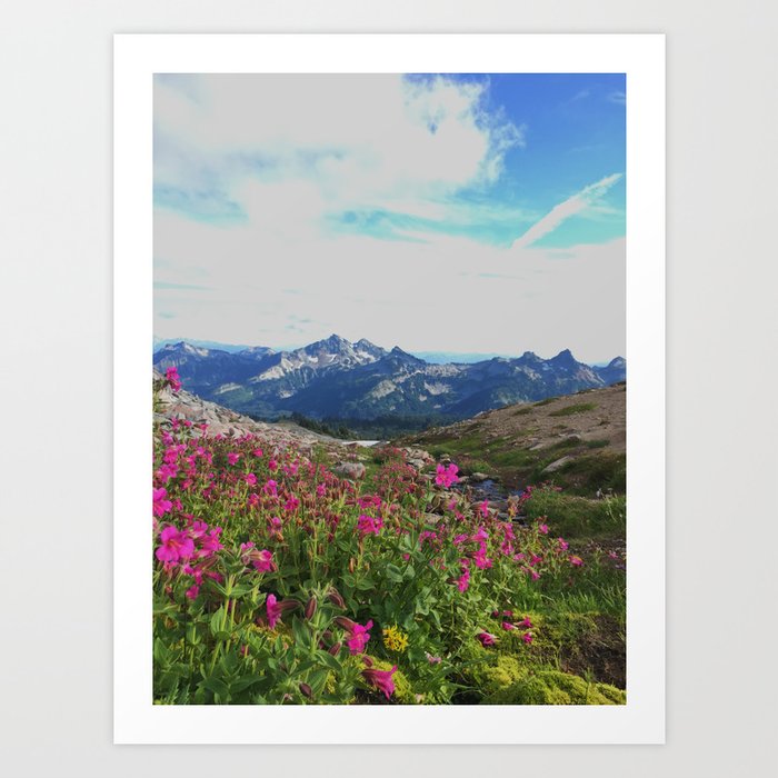 Mountain View Art Print