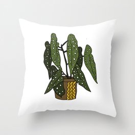 Begonia Maculata Throw Pillow