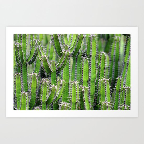 cactus illusion 4 Art Print