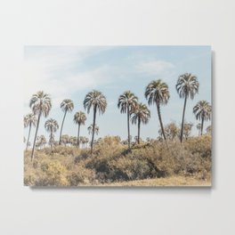 El Palmar National Park Palm Trees | Entre Rios, Argentina | Travel Landscape Photography Metal Print | Travel, Southamerica, Blue, Digital, Trees, Landscape, Wander, Color, Beach, Summer 
