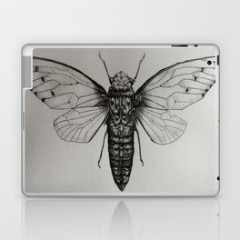Cicada Drawing Laptop & iPad Skin