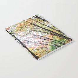 Autumn Forest - Minnesota Notebook
