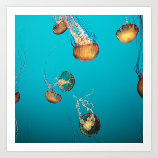 Magical Medusas Art Print