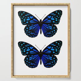 Two Blue Watercolor Butterflies Serving Tray