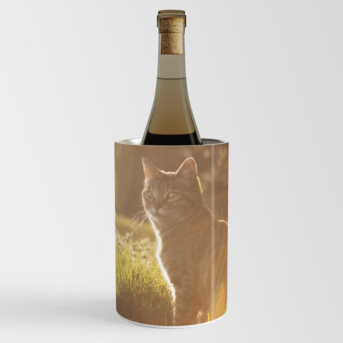 Tabby cat Wine Chiller