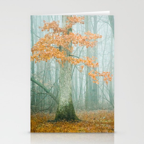 Autumn Woods Stationery Cards