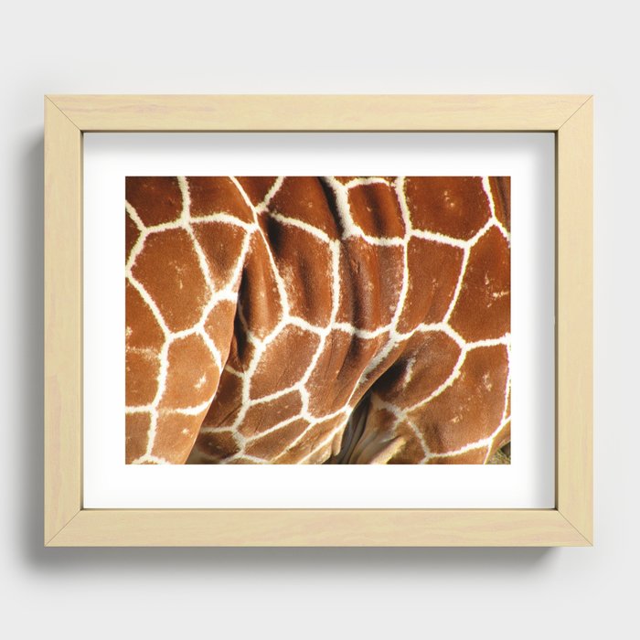 Giraffe Skin Close-up Recessed Framed Print