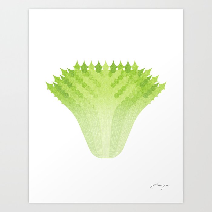 Frill Lettuce  (2017) Art Print