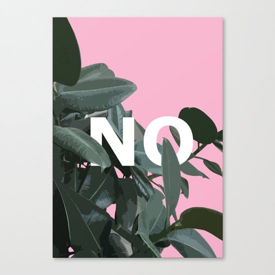 NO Canvas Print