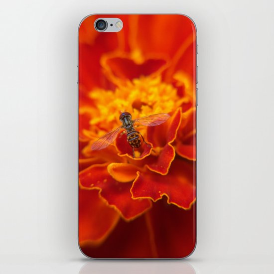 Flowers iPhone & iPod Skin