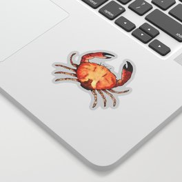 Crab: Fish of Portugal Sticker