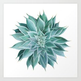 Succulent Acrylic Painting Art Print By Anne Marieart Society6