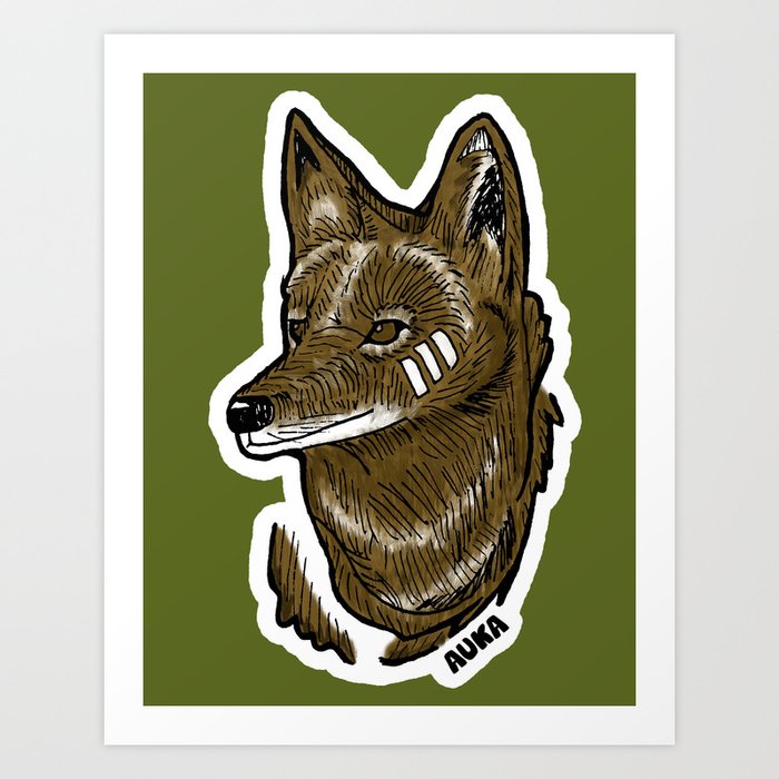Coyote Art Print