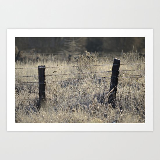 Diamond Fields Art Print