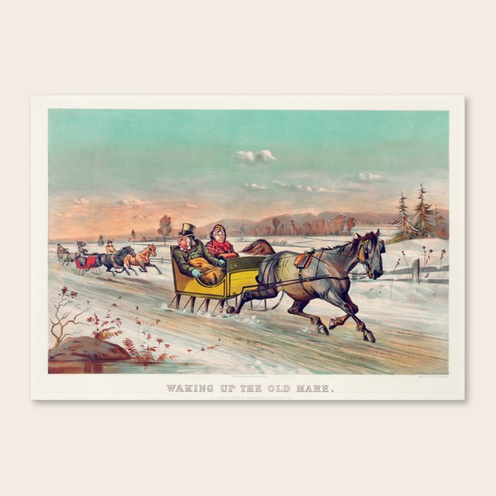 Canvas Print