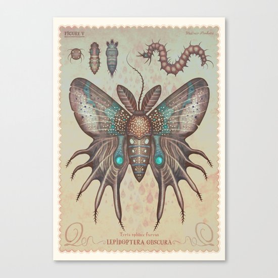 Tyria sphinx furvus Canvas Print