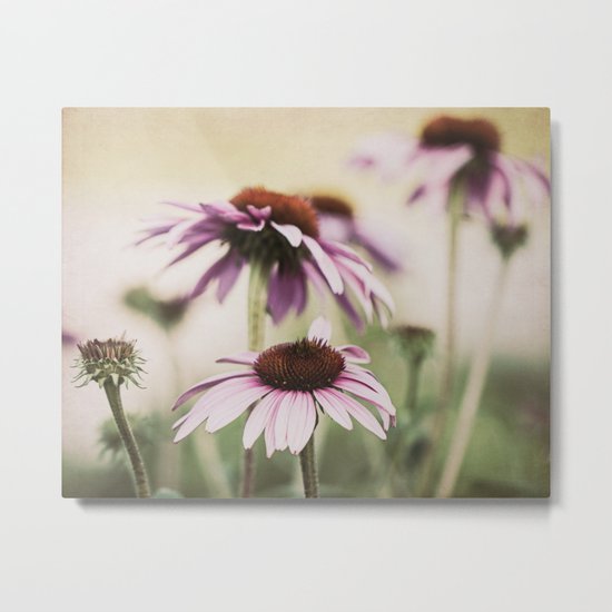 coneflower Metal Print
