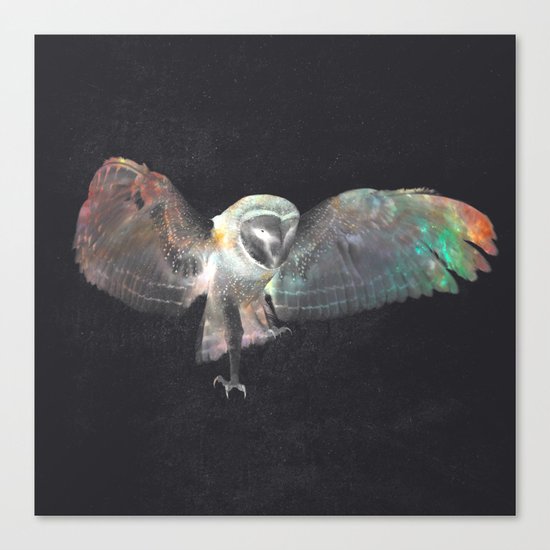 Ugla (Owl) Canvas Print