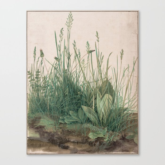 Albrecht Durer - The Large Piece of Turf Canvas Print