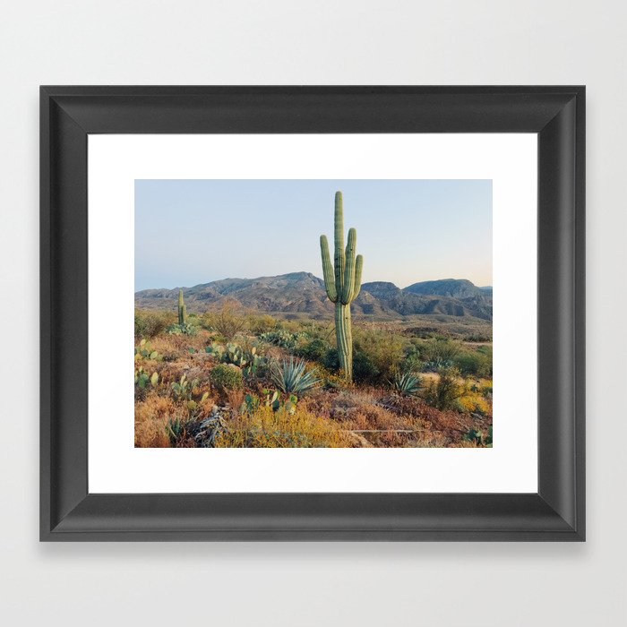 Spring in the Desert Framed Art Print