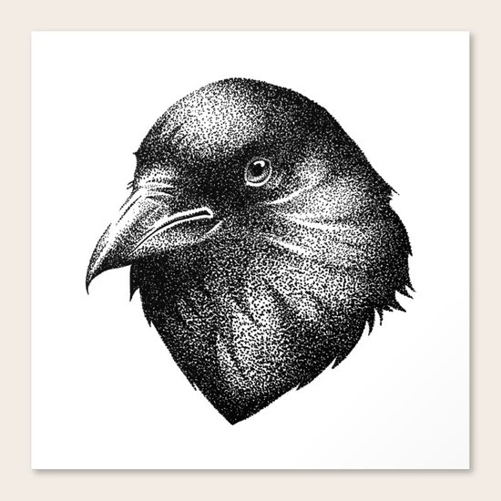 CROW Canvas Print