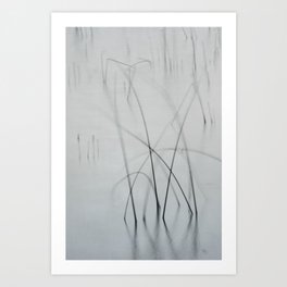 Harmonia i - Soft Grasses and Calm Water Art Print