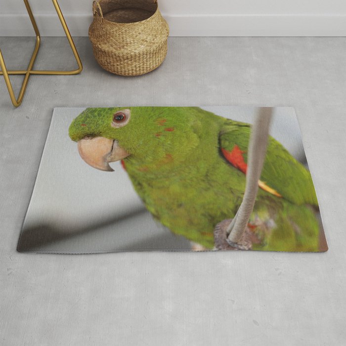 Brazil Photography - Green Parrot Sitting On A Thin Rope Rug
