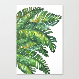 tropical green leaves Canvas Print