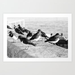 Birds and People relaxing at the beach Art Print