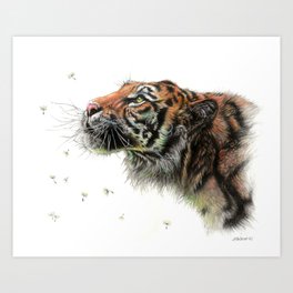 Sumatran Tiger and Dandelions Art Print