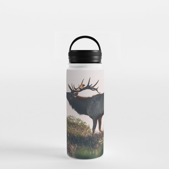 Elk Bull Water Bottle