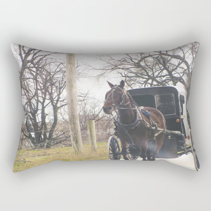 Lancaster Rectangular Pillow