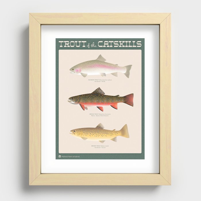 Trout Of The Catskills Recessed Framed Print