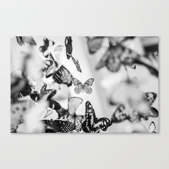 Butterfly papillons Canvas Print