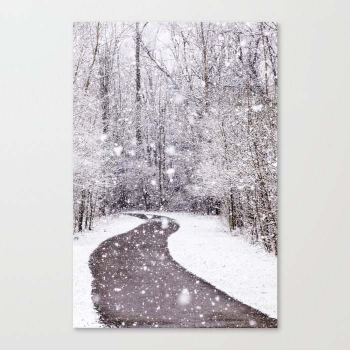 a winter path Canvas Print