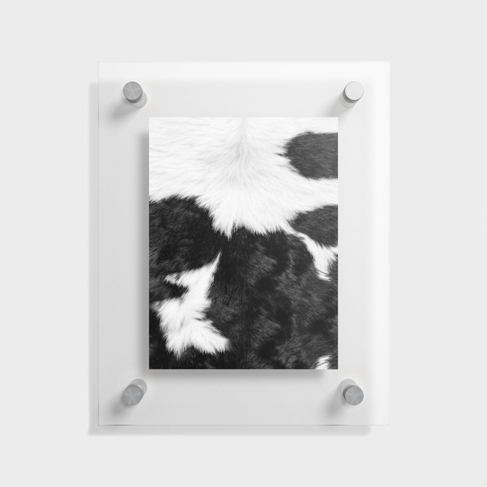 Farmhouse Cowhide in Black and White Floating Acrylic Print