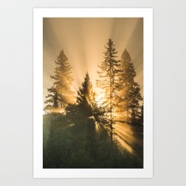 Shine your light. Art Print | Tree, Park, Your, Ontario, Sun, Shine, Beam, Light, Morning, Canada 