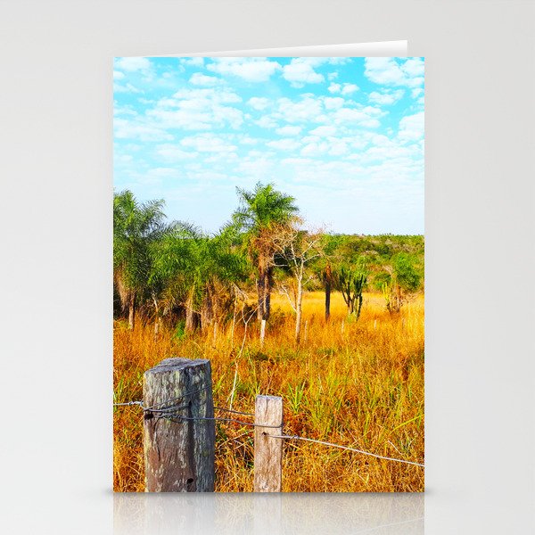Palm trees Stationery Cards