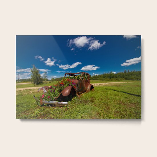 Treasure Metal Print