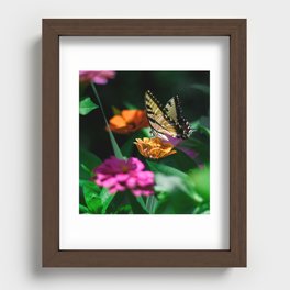 Beautiful Butterfly Recessed Framed Print