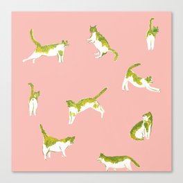 Summer Cats Canvas Print