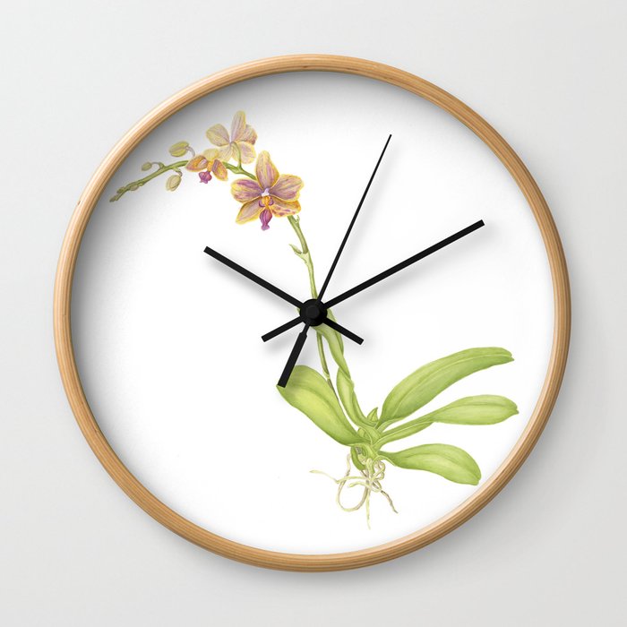 Pink and yellow flowering orchid Wall Clock