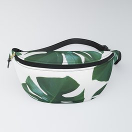 Monstera exotica Fanny Pack
