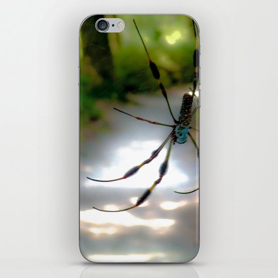 On a precarious path iPhone & iPod Skin