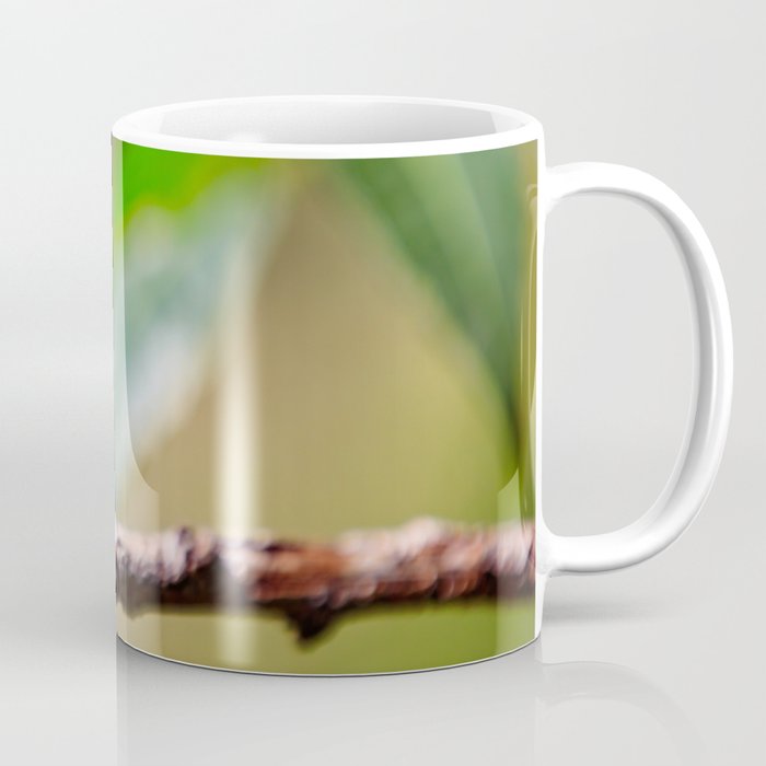 Anton Photo & Design Coffee Mug