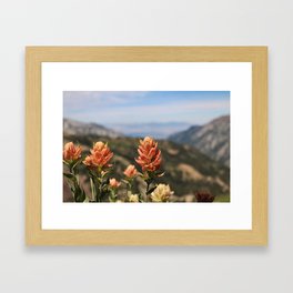 Valley behind the Flowers Framed Art Print